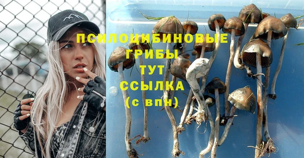 MDMA Premium VHQ Медногорск