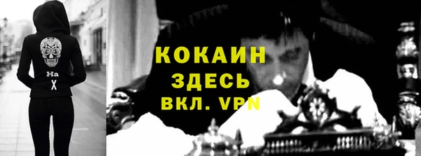 дживик Мегион