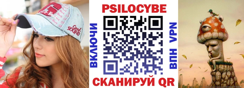 закладка  Феодосия  Псилоцибиновые грибы GOLDEN TEACHER 