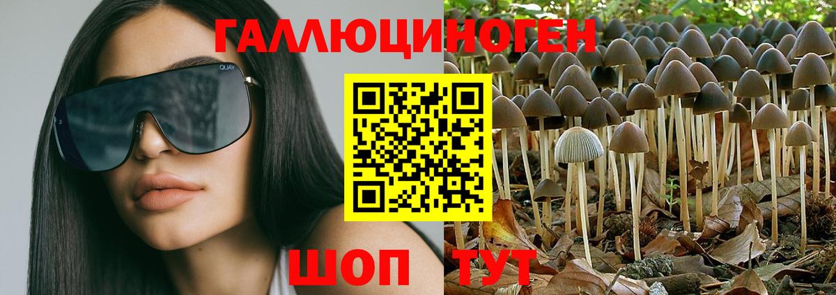 Псилоцибиновые грибы мухоморы Феодосия
