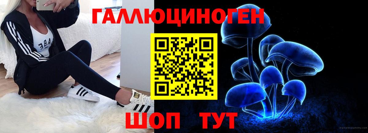 Галлюциногенные грибы мухоморы  Псилоцибиновые грибы Psilocybe  Вход с VPN  Феодосия 