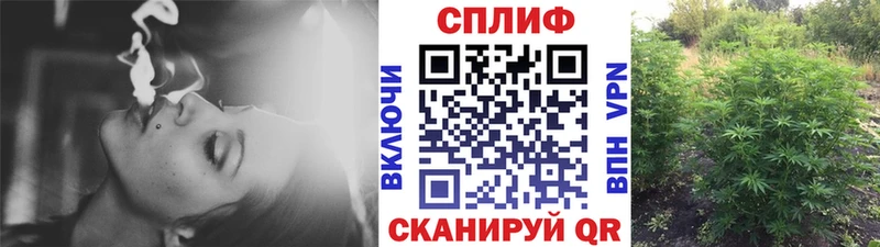 цена   Феодосия  МАРИХУАНА конопля 